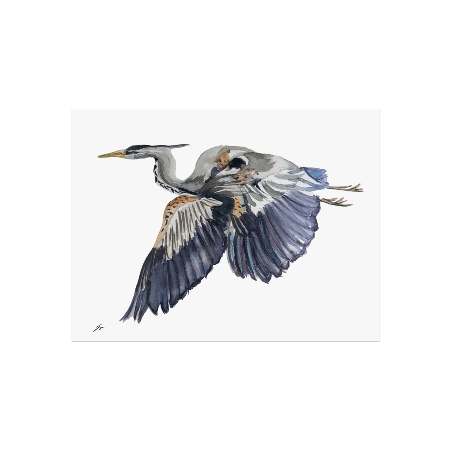 Elegant Heron Fine Art Poster - Fur, Feathers and Flowers