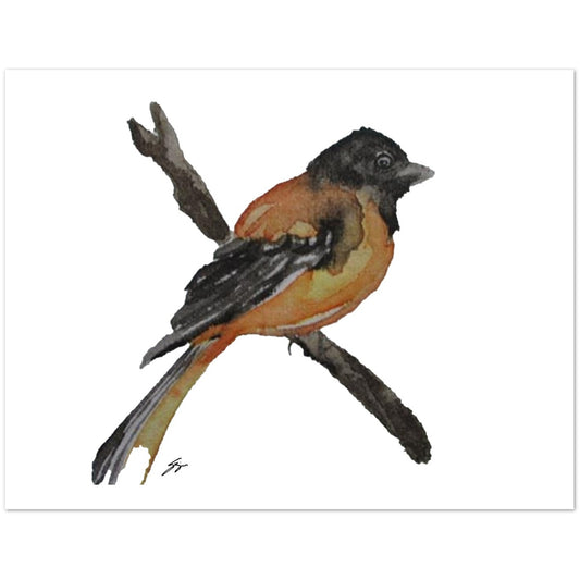Pack of 10 Blank Greeting Cards – Oriole Watercolor Art by Sharon Tiger - Fur, Feathers and Flowers