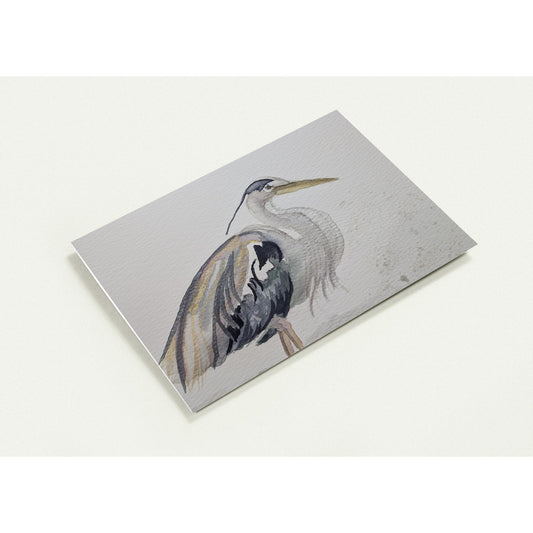 e47252f5-f690-4948-a49c-0439514f2a56