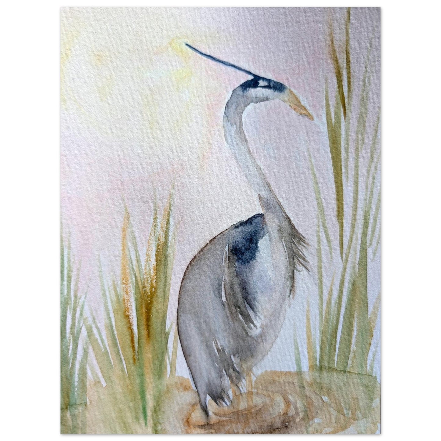 Original Watercolor Blue Heron Blush Sky by Sharon Tiger - Fur, Feathers and Flowers