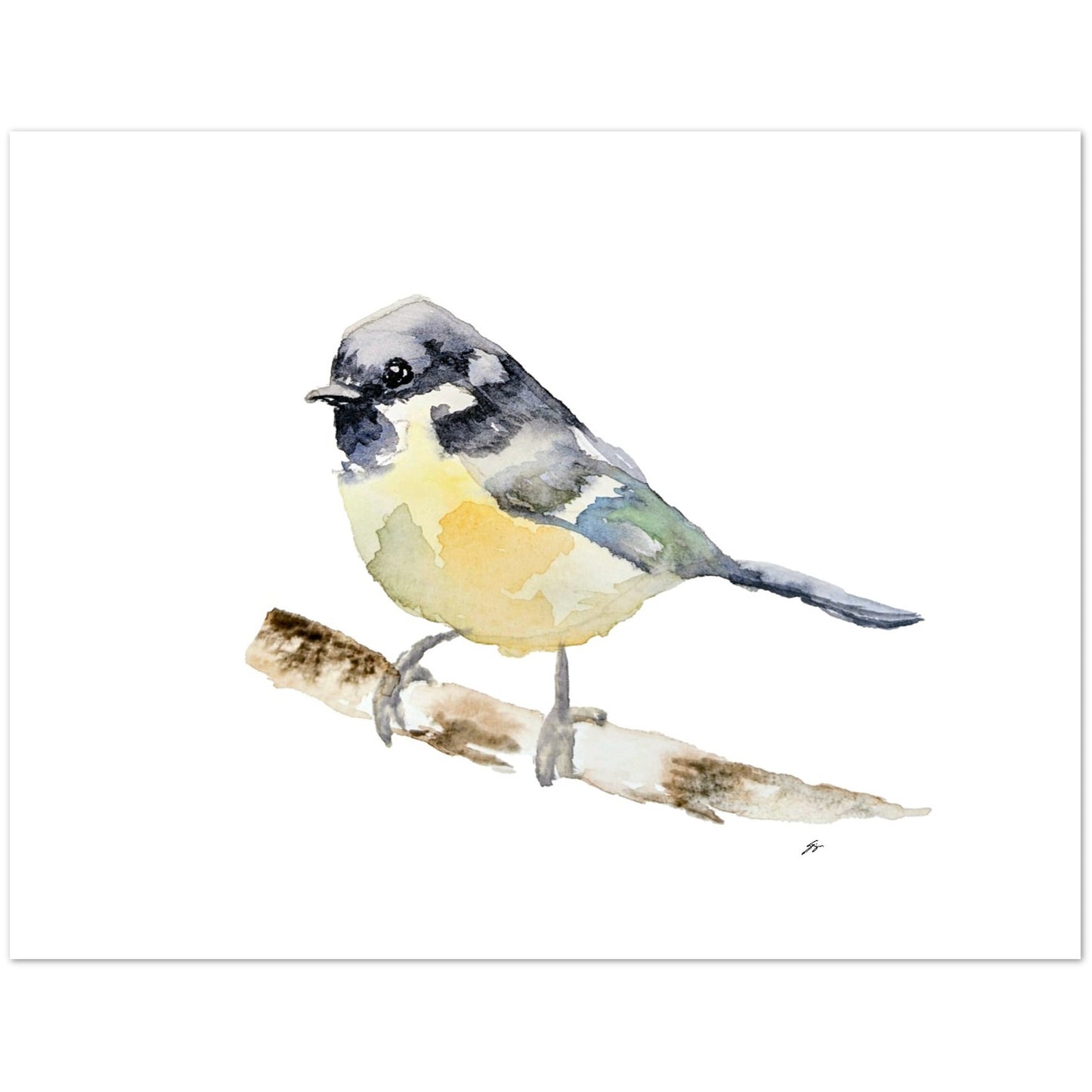 Pack of 10 (Multiple Sizes) Greeting Cards Titmouse Bird Original Watercolor by Sharon Tiger - Fur, Feathers and Flowers
