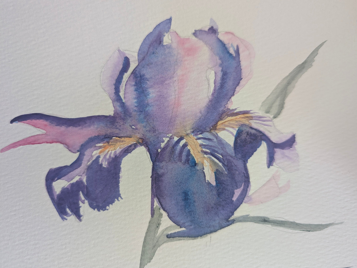 The Flower Collection