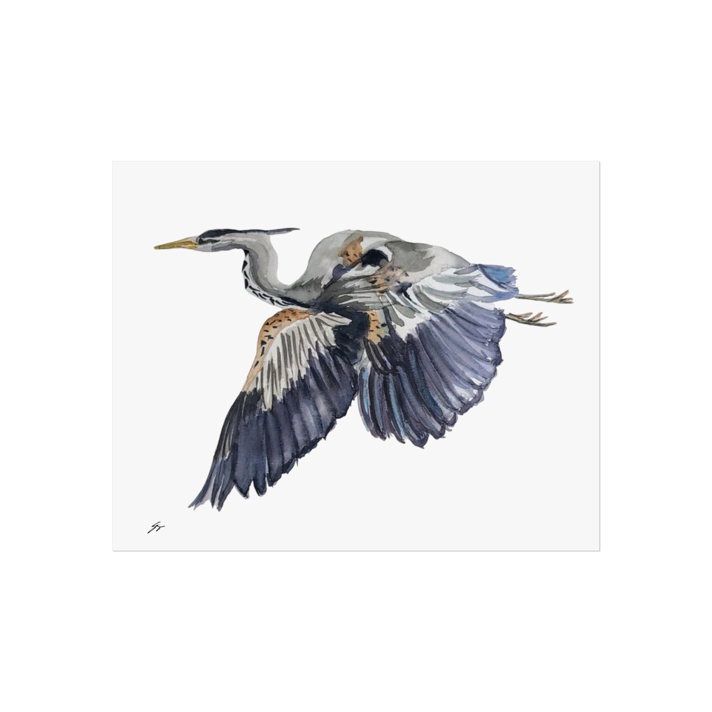Elegant Heron Fine Art Poster - Fur, Feathers and Flowers