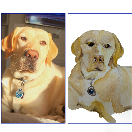 Custom Watercolor Pet Portrait by Sharon Tiger - Fur, Feathers and Flowers