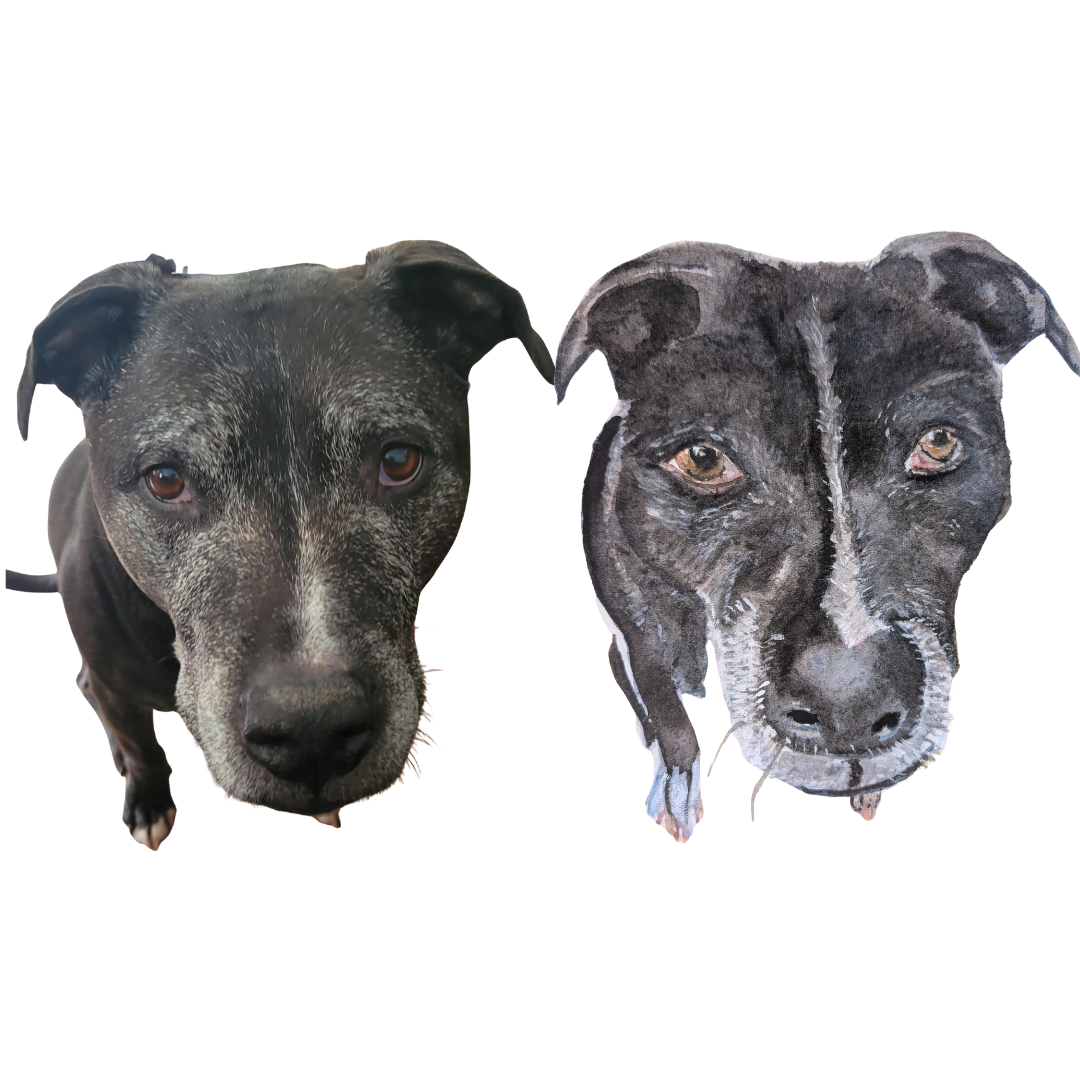 Original watercolor painting of a black pitbull, custom pet portrait by Fur Feather and Flowers