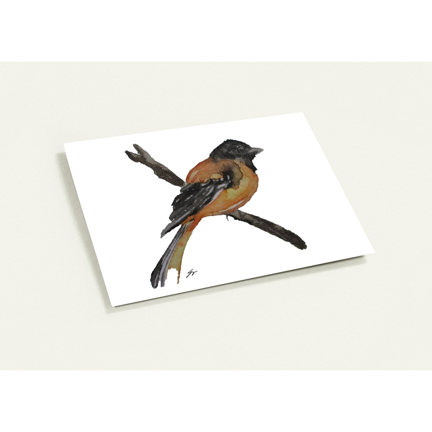 Pack of 10 Blank Greeting Cards – Oriole Watercolor Art by Sharon Tiger - Fur, Feathers and Flowers