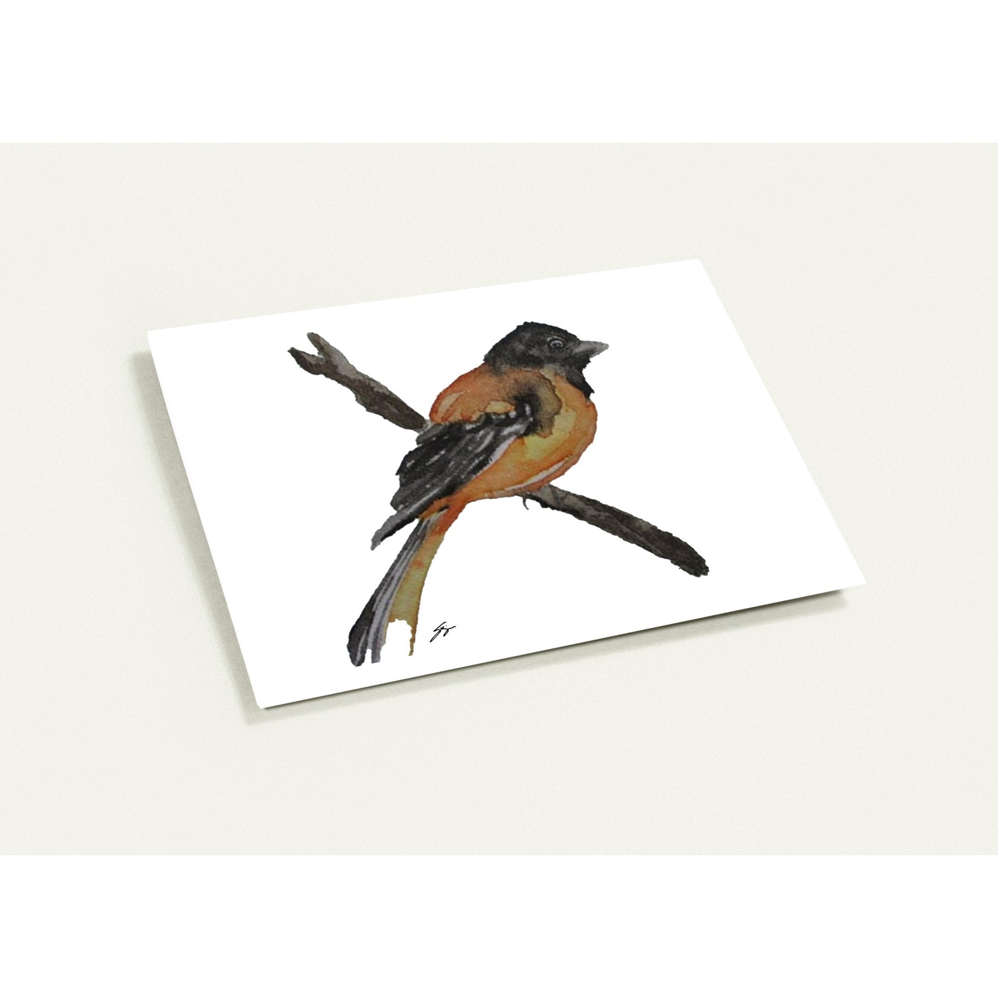 Pack of 10 Blank Greeting Cards – Oriole Watercolor Art by Sharon Tiger - Fur, Feathers and Flowers
