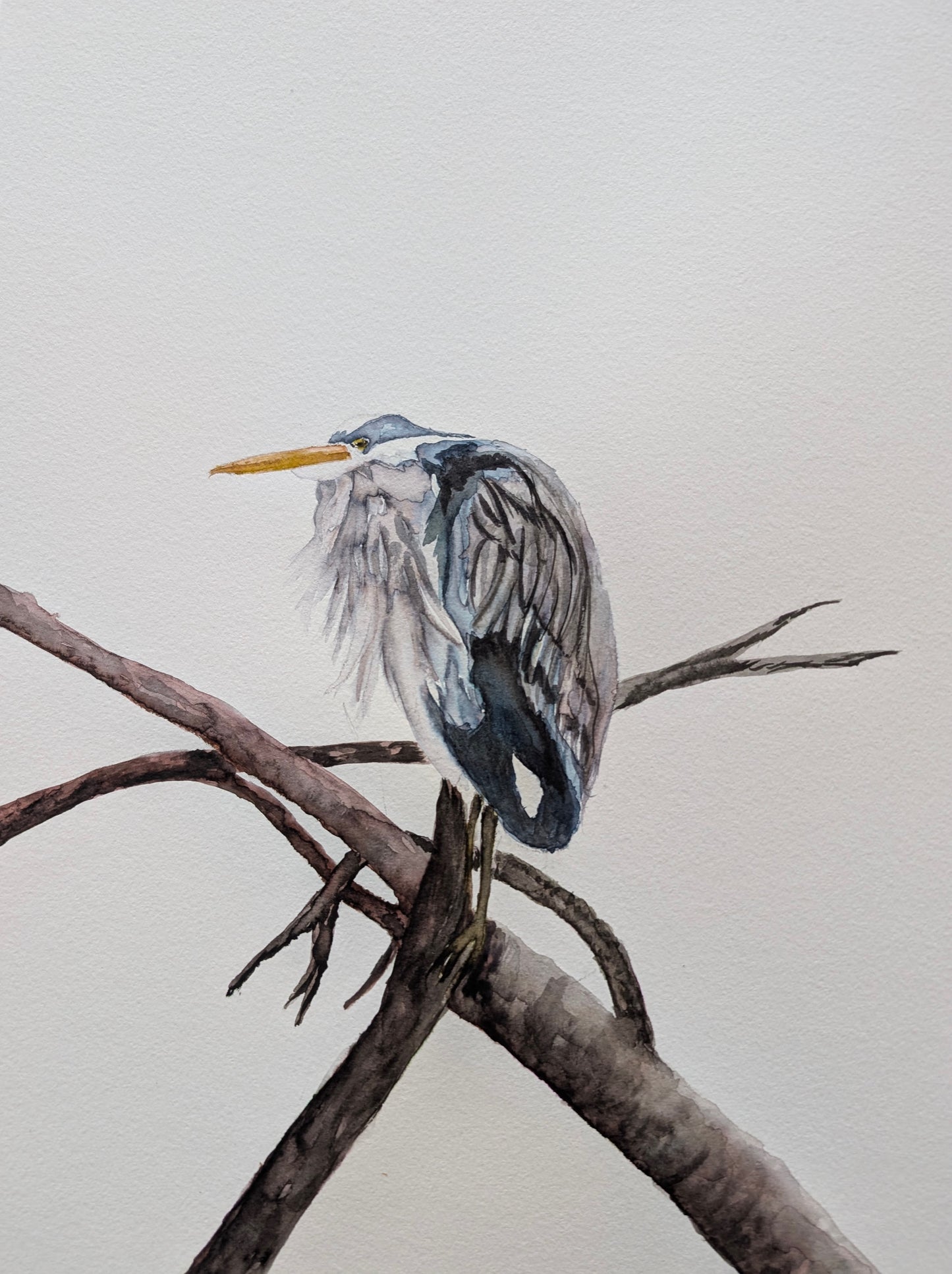 The Quiet Watcher: One Original. Ten Prints. A Story of Stillness + Strength.