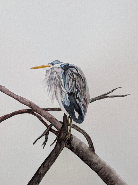 The Quiet Watcher: One Original. Ten Prints. A Story of Stillness + Strength.