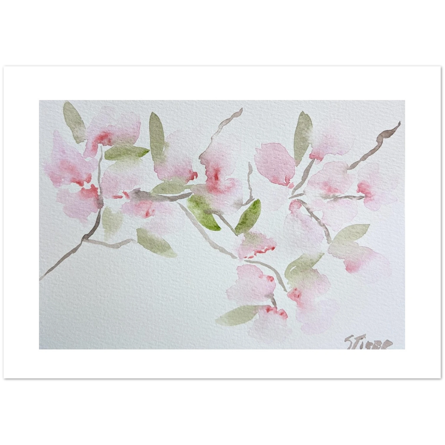Pack of 10 Blank Greeting Cards – Cherry Blossom Watercolor Art by Sharon Tiger - Fur, Feathers and Flowers