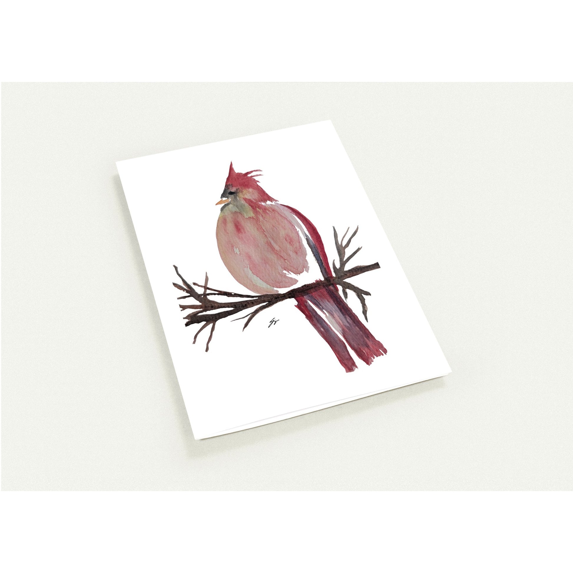 Pack of 10 Blank Greeting Cards – Cardinal Watercolor Art by Sharon Tiger - Fur, Feathers and Flowers