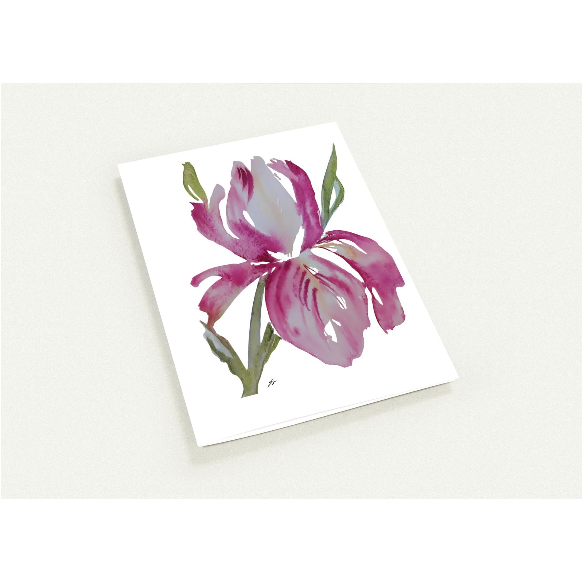 Pack of 10 Blank Greeting Cards – Pink Iris Watercolor Art by Sharon Tiger - Fur, Feathers and Flowers