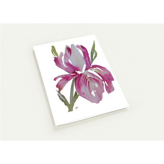 Pack of 10 Blank Greeting Cards – Pink Iris Watercolor Art by Sharon Tiger - Fur, Feathers and Flowers