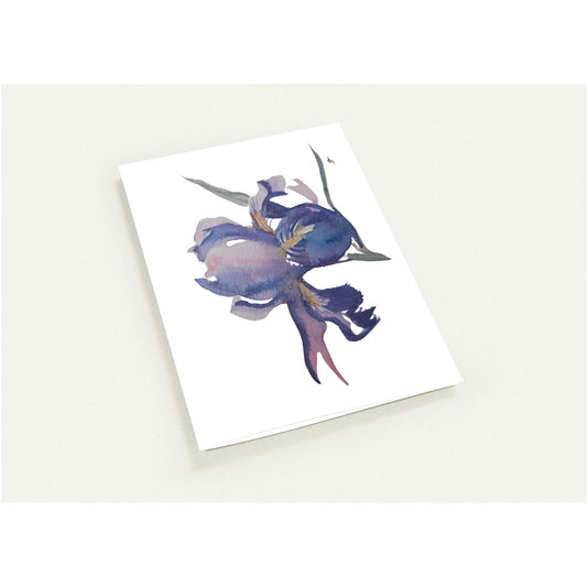 Pack of 10 Blank Greeting Cards – Purple Iris Watercolor Art by Sharon Tiger - Fur, Feathers and Flowers