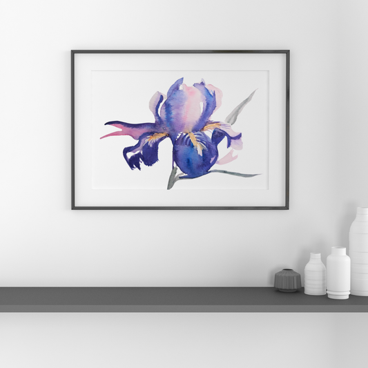 Purple Iris Watercolor Wall Poster Original Watercolor by Sharon Tiger - Fur, Feathers and Flowers